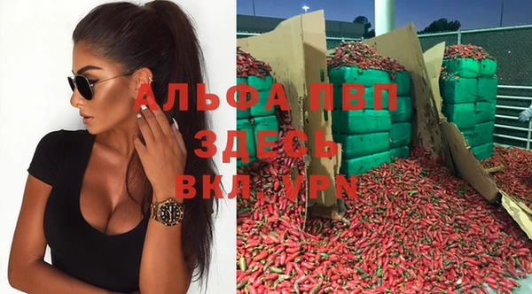 стафф Абаза