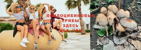 тгк Абинск