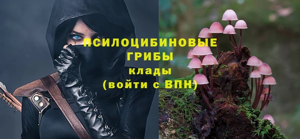 стафф Абаза