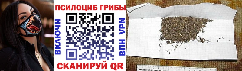 Псилоцибиновые грибы ЛСД  Рославль 